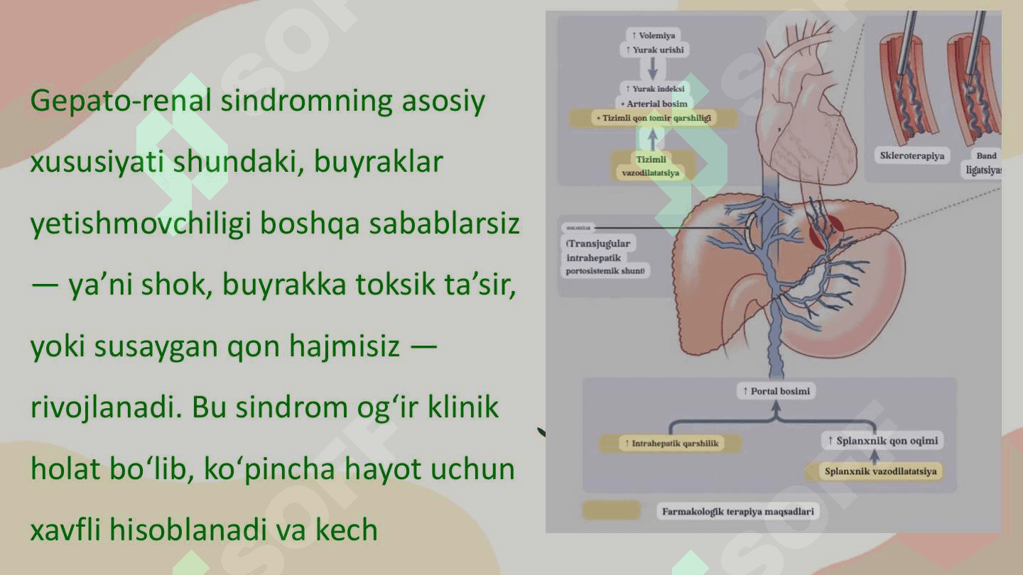 Gepato-renal sindrom 3