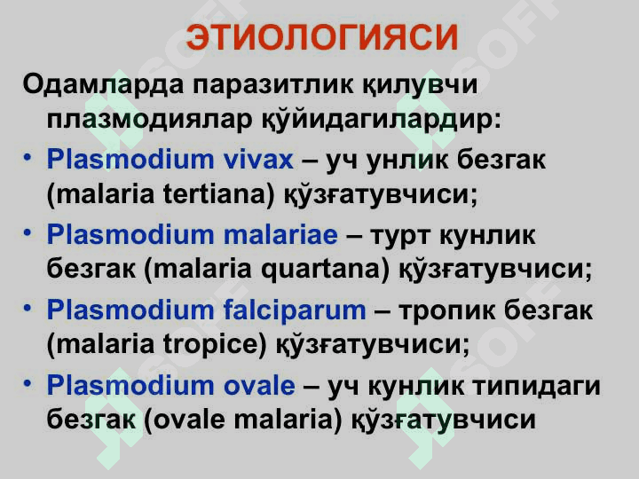 БЕЗГАК 3