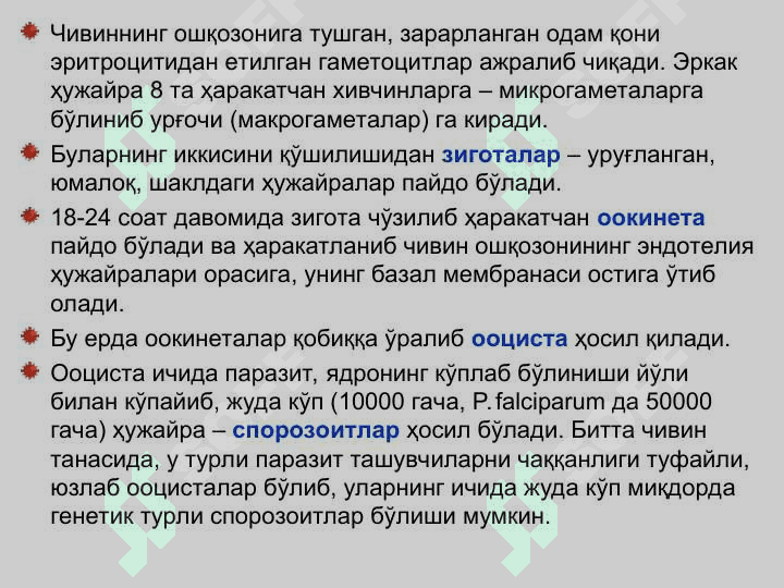 БЕЗГАК 6
