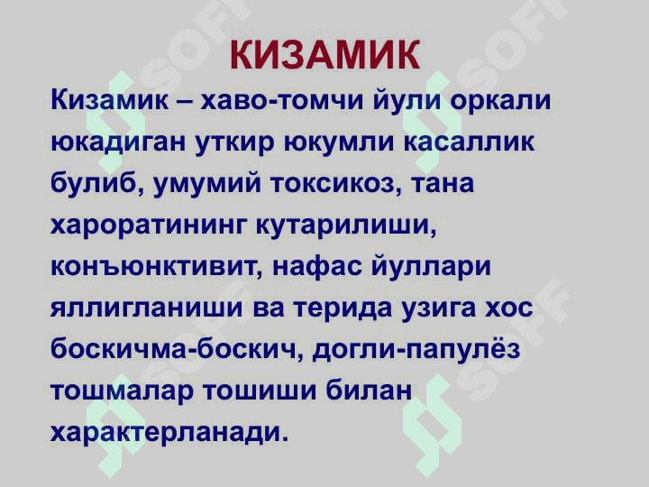 КИЗАМИК 2