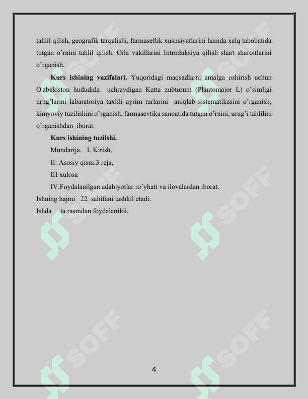 Katta zubturum (Plantomajor L) o’simligi urug’larini labaratoriya taxlili 4