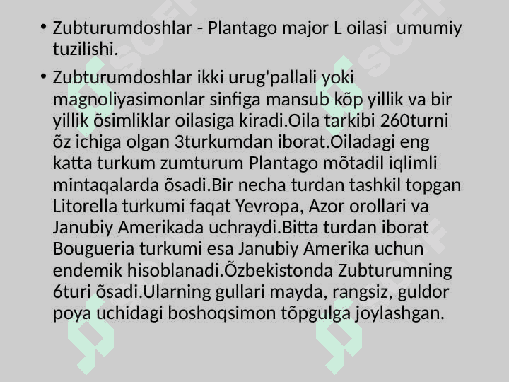 Katta zubturum (Plantago major L)o'simligi urug'larini laboratoriya taxlili 7