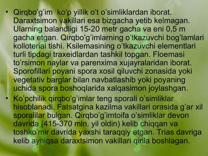 QIRQBO’G’IMTOIFA O’SIMLIKLAR EQUISETOPHYTA 5
