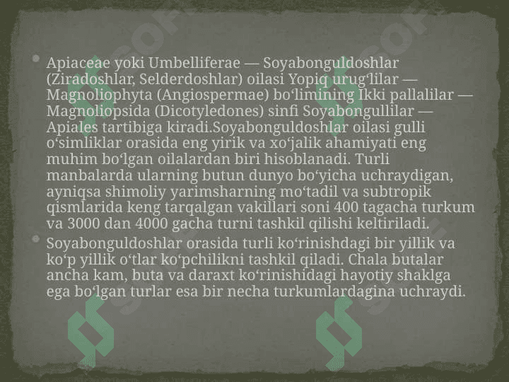 Sassiq kovrak – Ferulla foetida (bunge) regel o’simligi urug’lari laboratoriya tahlili 4