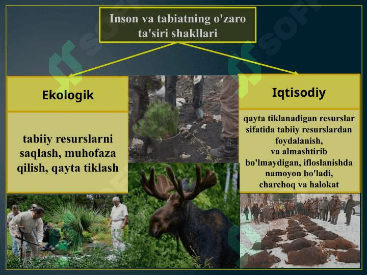 Inson va tabiat o`zaro ta'siri haqida yondashuvlar 4