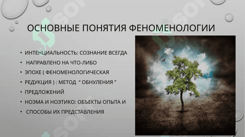 Феноменология 4
