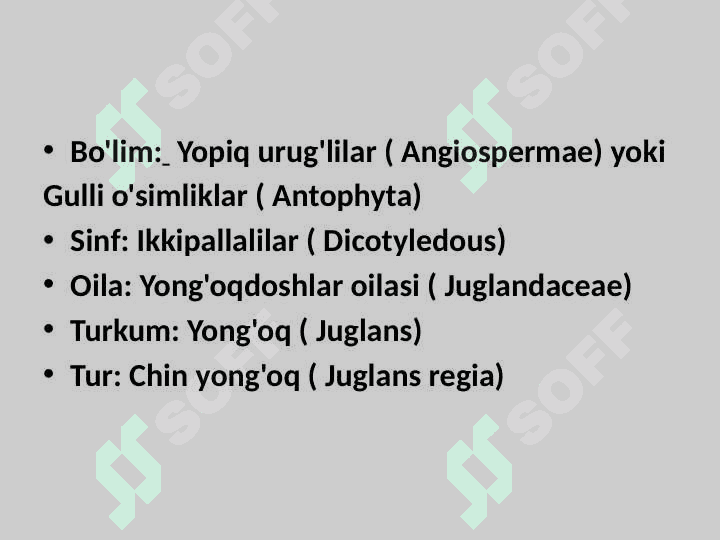 Yong'oqdoshlar  ( Juglandoceae) oilasi. 2