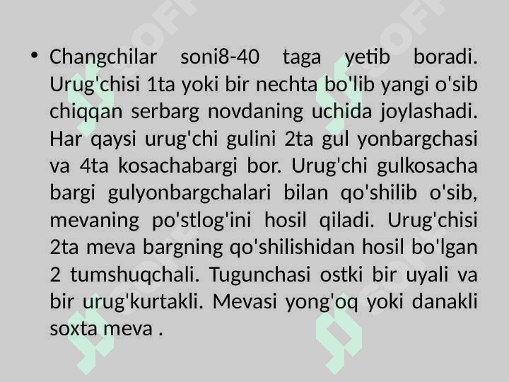 Yong'oqdoshlar  ( Juglandoceae) oilasi. 4