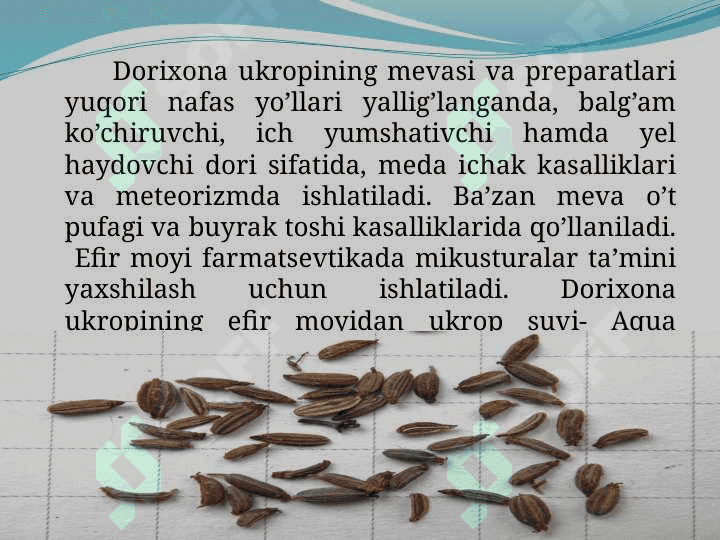 Tarkibida  aromatik monoterpenlar  bo’lgan  efir moylar  va  o’simliklar 8