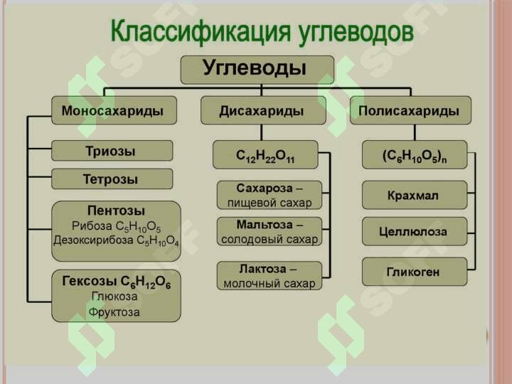 УГЛЕВОД САҚЛОВЧИ ДОРИВОР ЎСИМЛИКЛАР 4