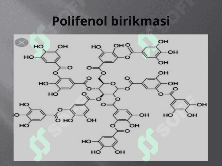 TARKIBIDA FLAVONOID SAQLOVCHI DORIVOR O’SIMLIKLAR. 4