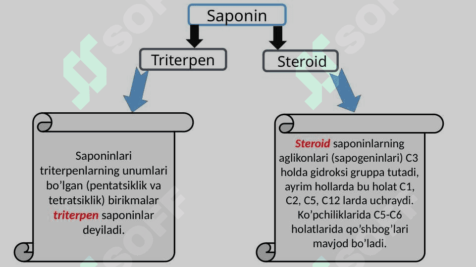 Saponin saqlovchi dorivor o’simliklar. 5