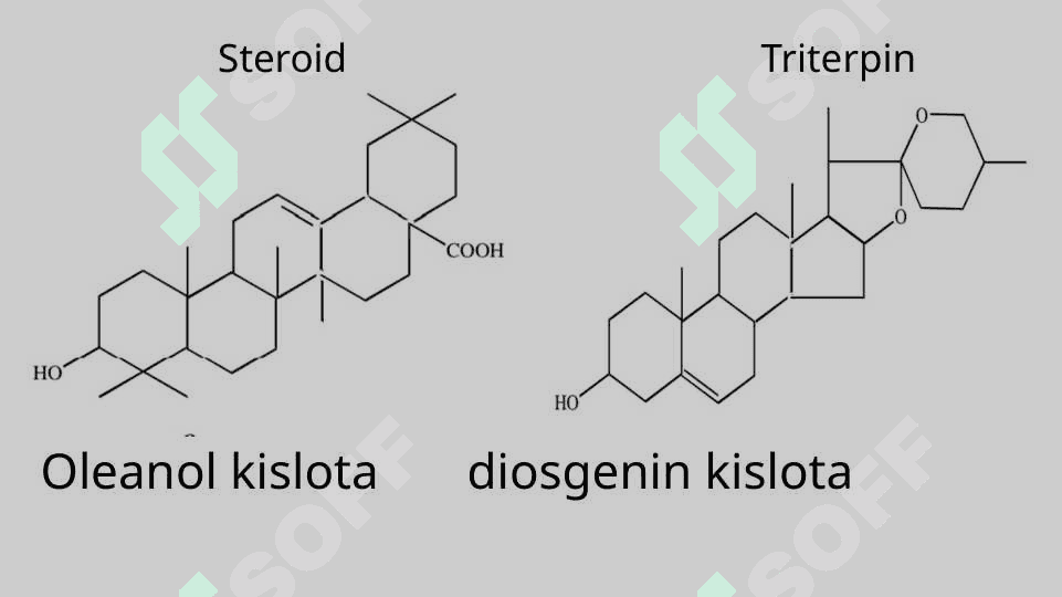 Saponin saqlovchi dorivor o’simliklar. 8