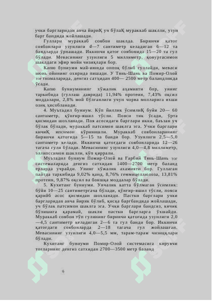 Зира 6