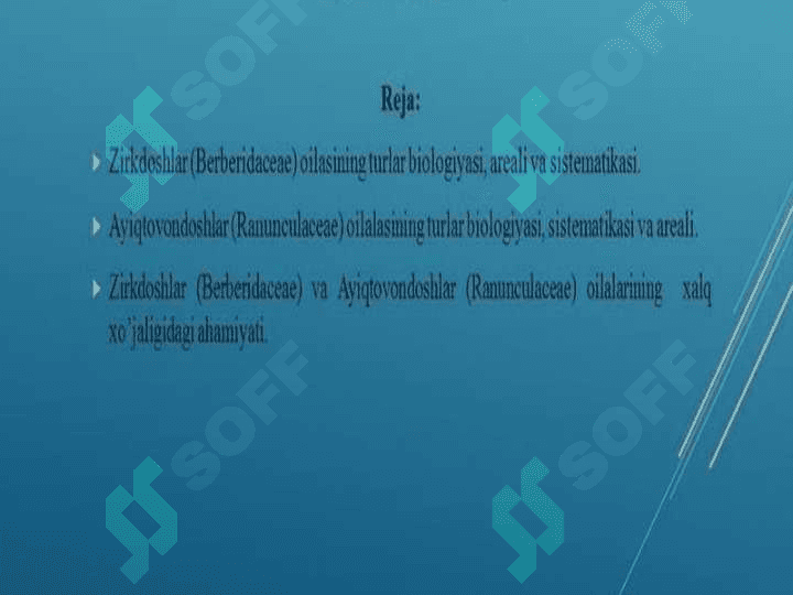 Zirk (Berberis) turkumlari xom ashyosini tayyorlash, quritish, saqlash texnalogiyasi va sanoatdagi axamiyati 2