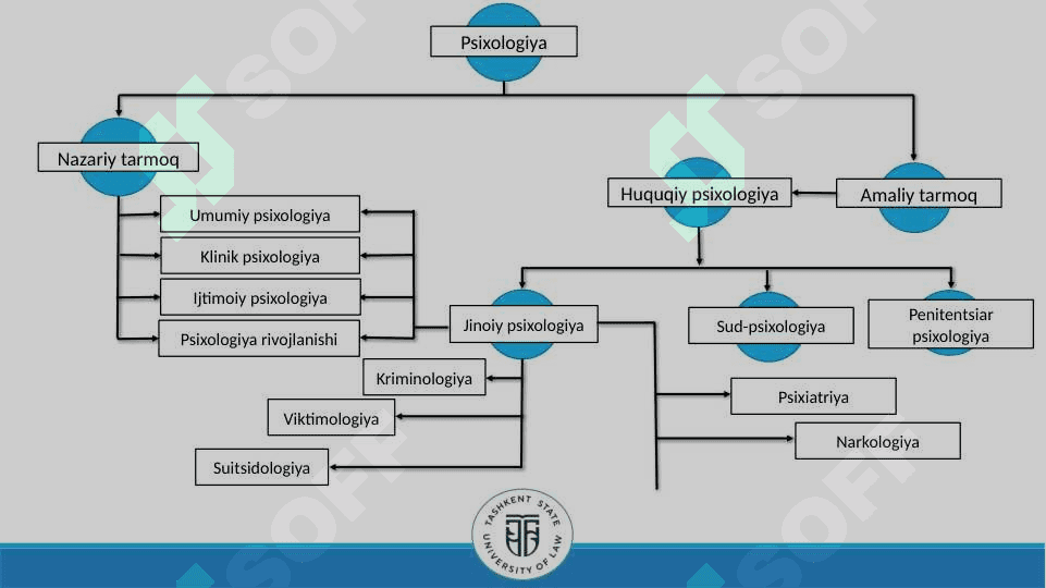 Sud psixologik va sud psixiatriya ekspertizalari 3