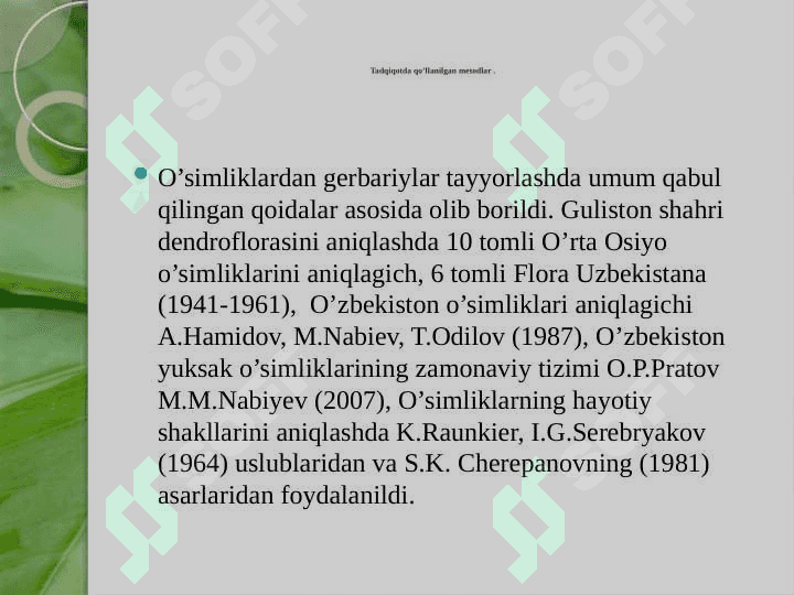GULISTON SHAHAR DENDROFLORASI 4