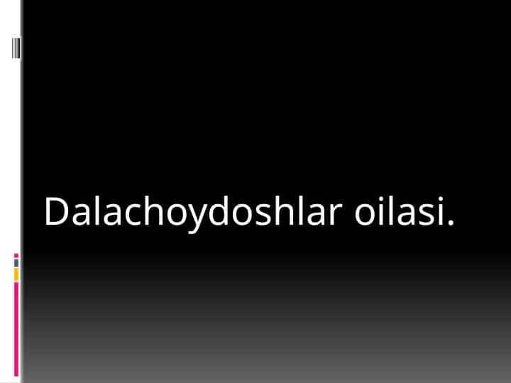 Dalachoydoshlar oilasi 1