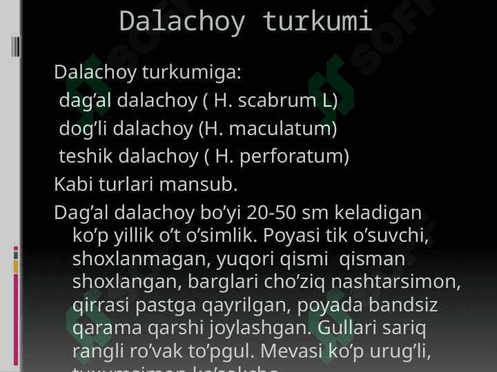 Dalachoydoshlar oilasi 6