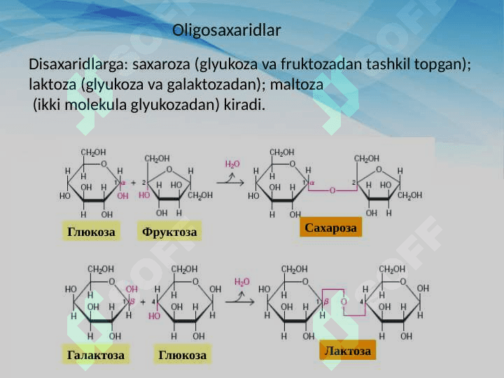 Karbonsuvlar Karbonsuvlar hazmlanishi 5
