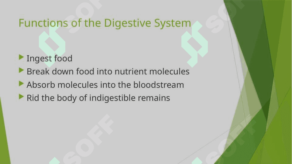The digestive system and process of digestion and absorption 4