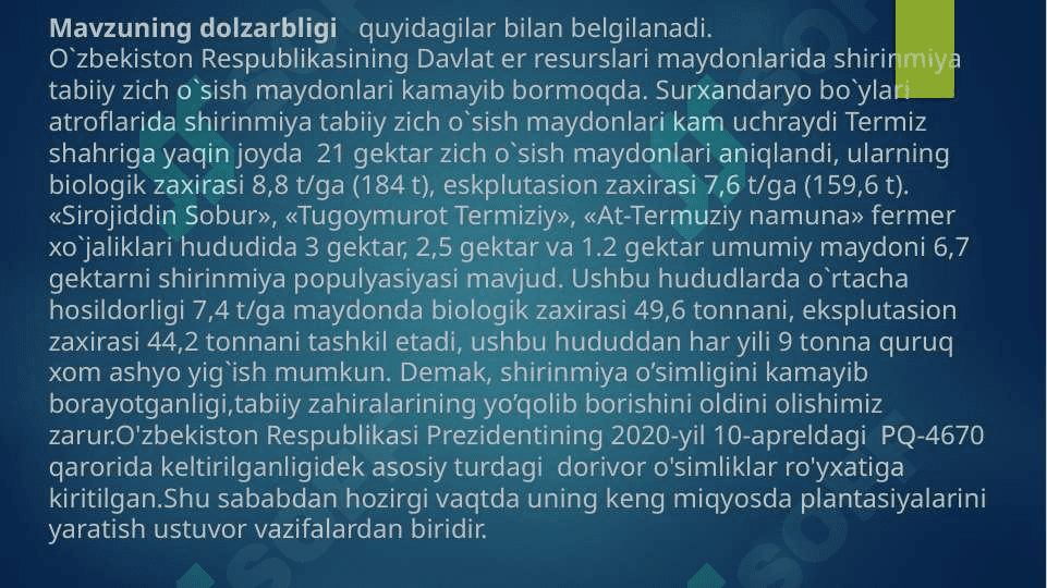 Shirinmiya, (solodka golaya) Glycyrrhiza glabra L.ni yetishtirish texnalogiyasi 6