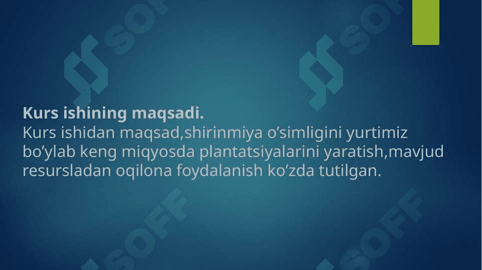 Shirinmiya, (solodka golaya) Glycyrrhiza glabra L.ni yetishtirish texnalogiyasi 7