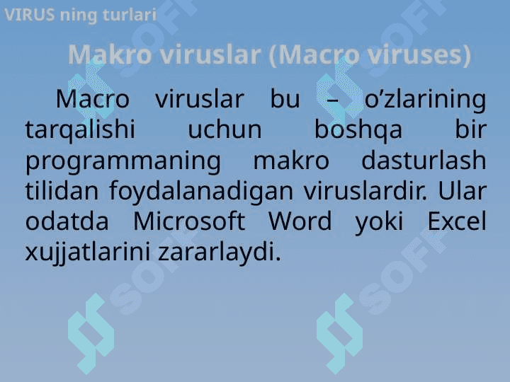 Viruslar va antiviruslar 8