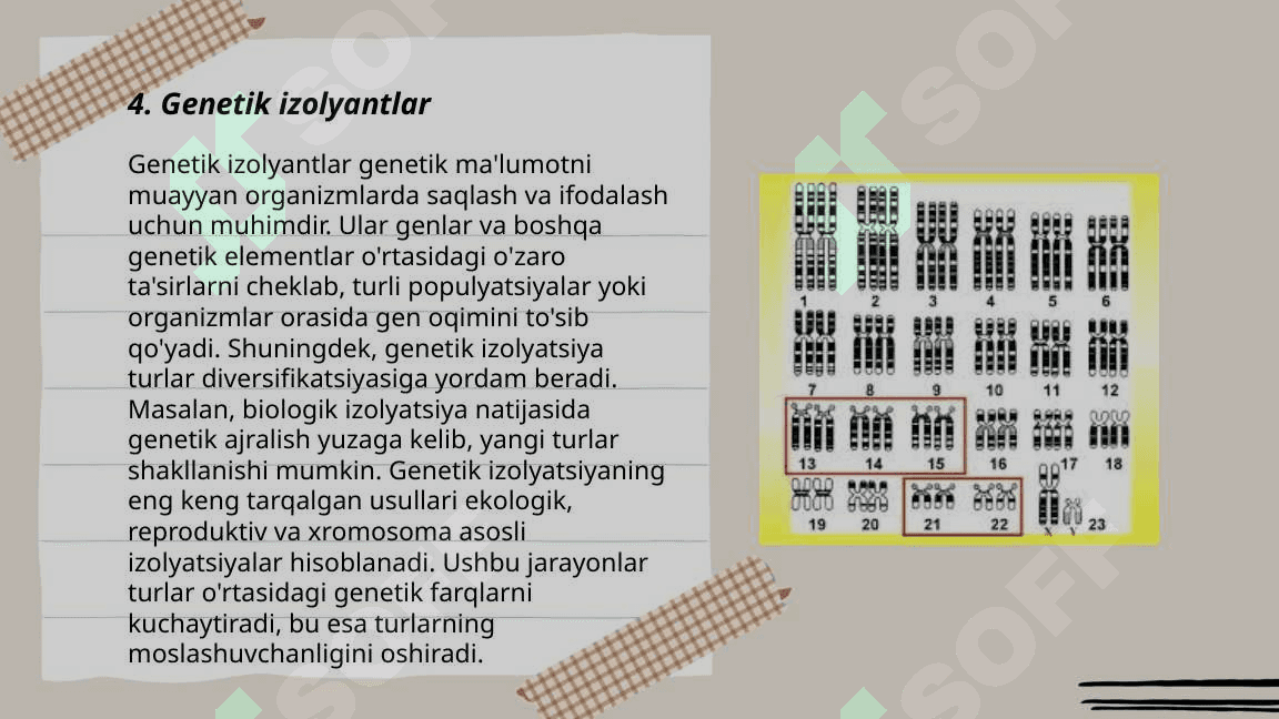 Odam populatsiyalari haqida tushuncha.Demlar. Izolyantlar. Odam populatsiyalarining eng muhim hususiyatlari o'z o'zidan otalanuvchi organizimlar populatsiyalaridagi irsiylanish. Hardi -vaynberg formulasi 6