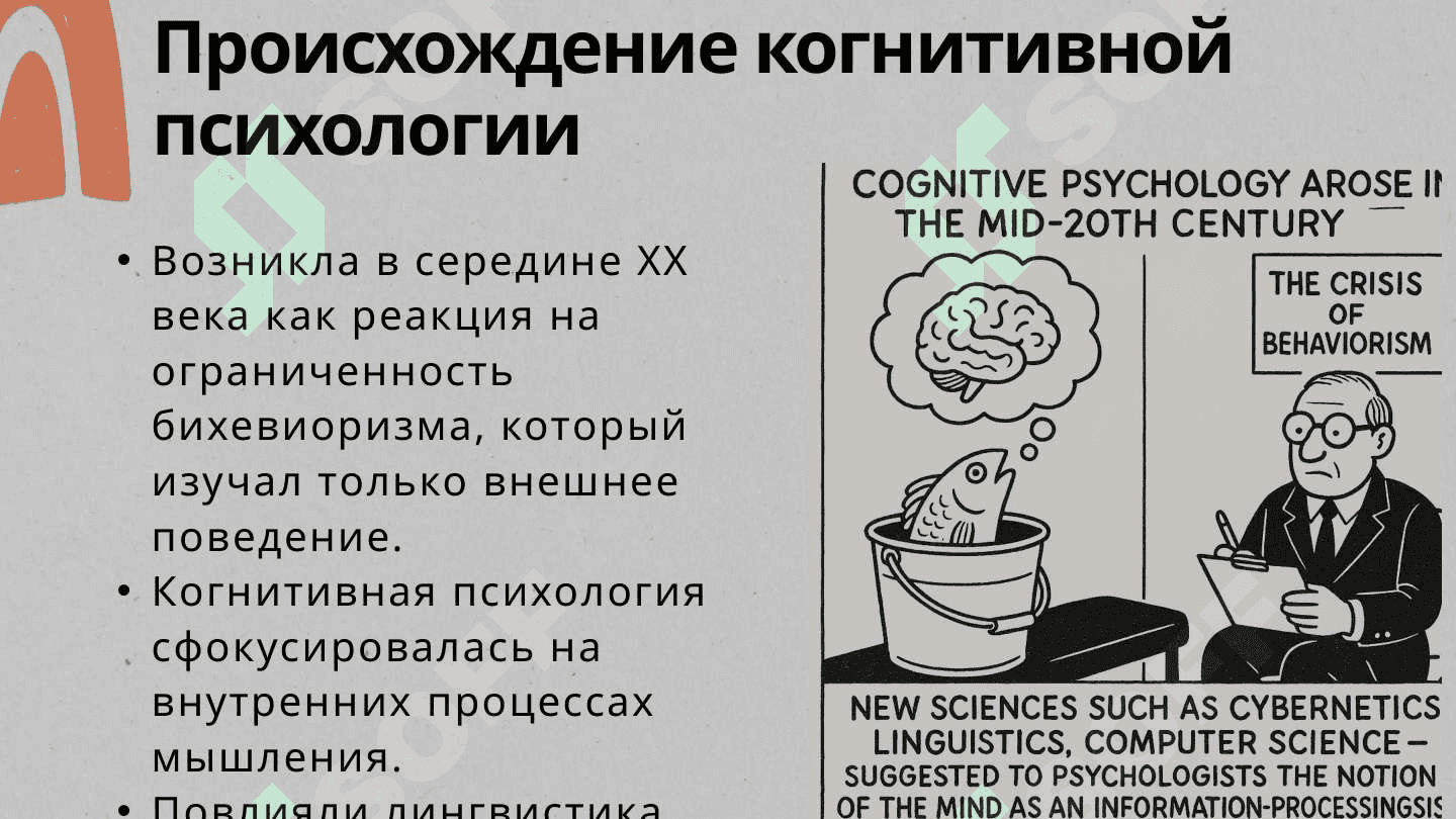 Сфера когнитивной психологии и её история 6