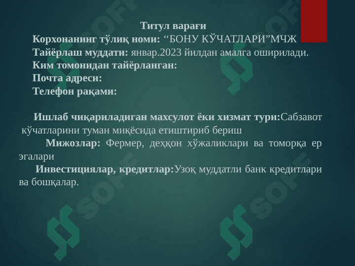 Сабзавот кўчатларини етиштириш 2