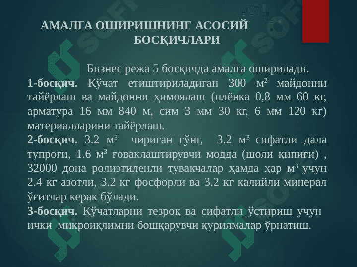 Сабзавот кўчатларини етиштириш 6