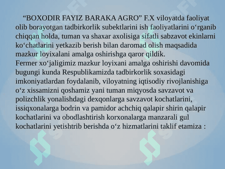 Sabzavot ko‘chatlar yetishtirish 4
