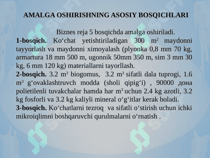 Sabzavot ko‘chatlar yetishtirish 6