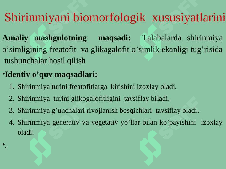Shirinmiya o’simligi biomorfologik  xususiyatlarini o’rganish 2