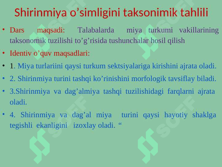 Shirinmiya o’simligini taksonimik tahlil qilish 2