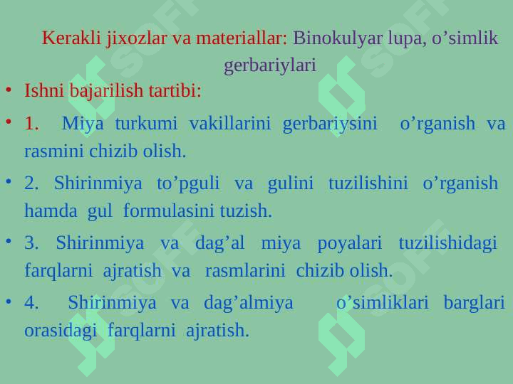 Shirinmiya o’simligini taksonimik tahlil qilish 3