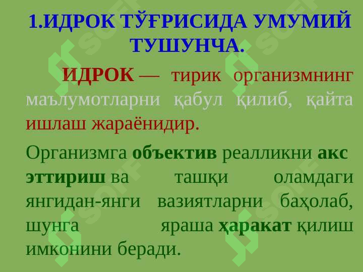 Идрок 2