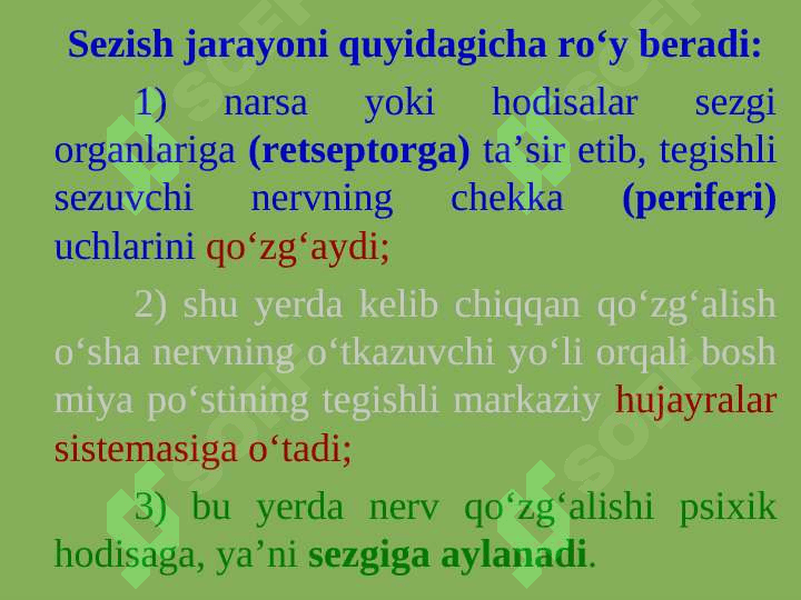 SEZGILAR  TO'G'RISIDA UMUMIY TUSHUNCHA 3
