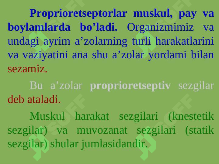 SEZGILAR  TO'G'RISIDA UMUMIY TUSHUNCHA 8