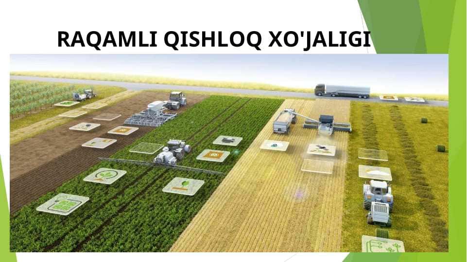 Raqamli qishloq xo'jaligi