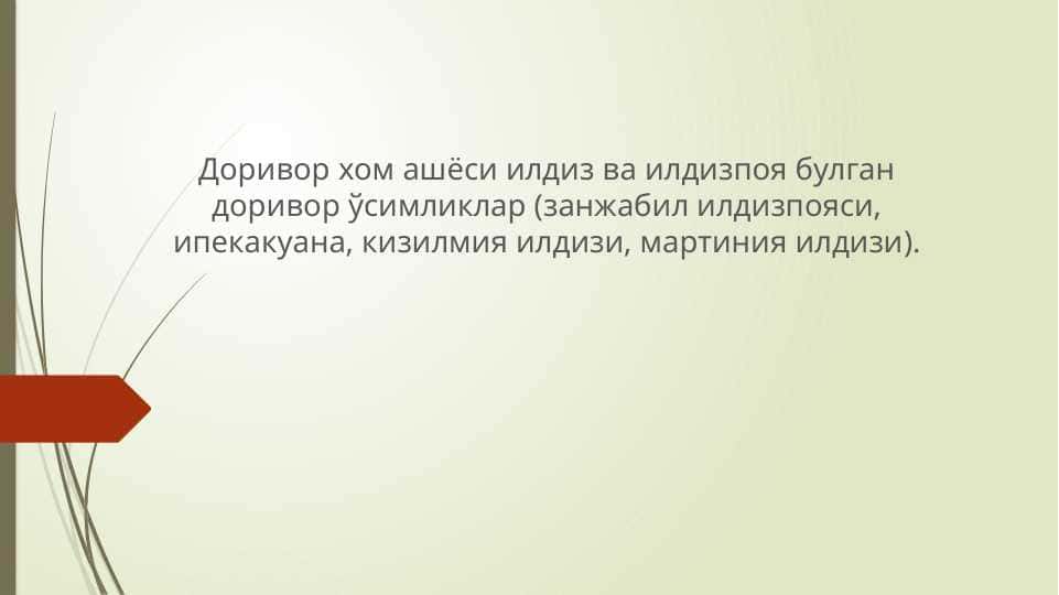 Доривор хом ашёси илдиз ва илдизпоя булган доривор ўсимликлар (занжабил илдизпояси, ипекакуана, кизилмия илдизи, мартиния илдизи).
