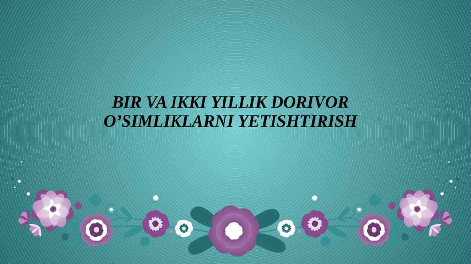 BIR VA IKKI YILLIK DORIVOR O’SIMLIKLARNI YETISHTIRISH