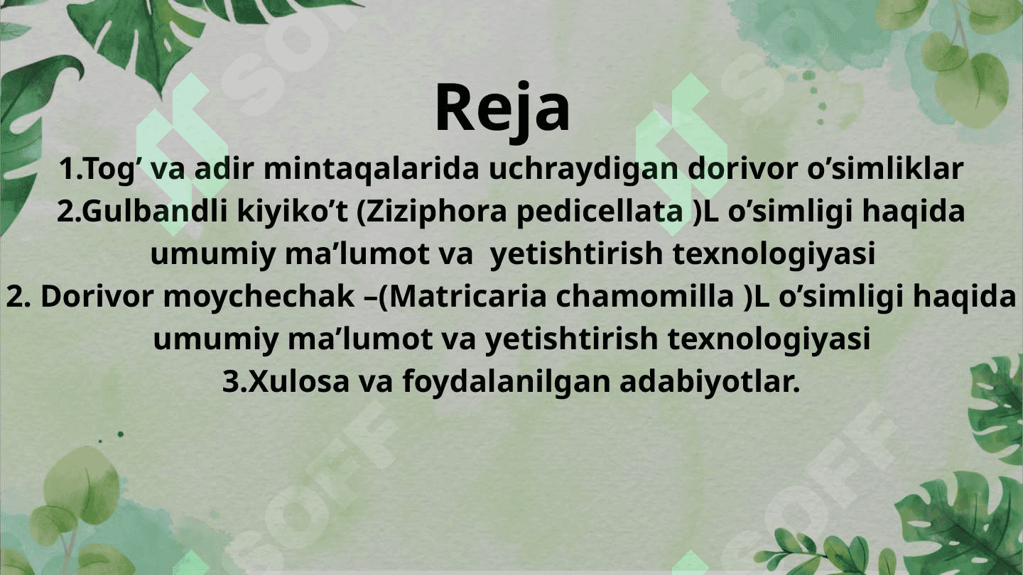 TOG’LI VA ADIR MINTAQALARI XUSHBO’Y VA ZIRAVOR O’SIMLIKLARNI YETISHTIRISH TEXNALOGIYASI 2