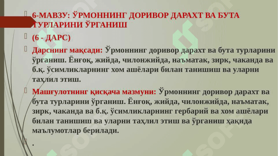 Ўрмоннинг доривор дарахт ва бута турларини ўрганиш 2