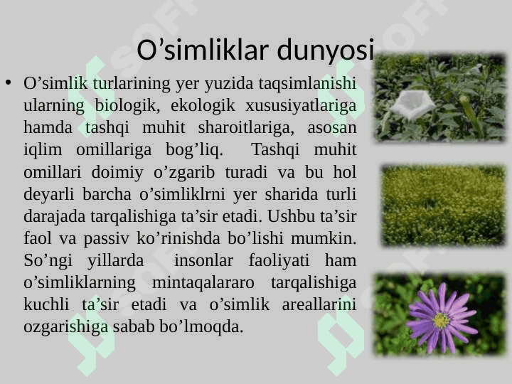 O’zbekiston florasi dorivor o’simliklari bioekologik xususiyatlari va tarqalish areali 3
