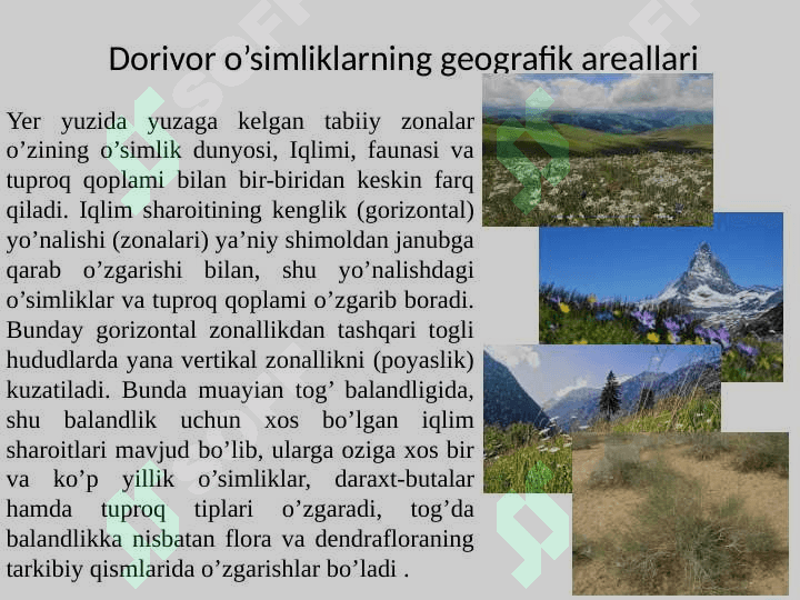 O’zbekiston florasi dorivor o’simliklari bioekologik xususiyatlari va tarqalish areali 4