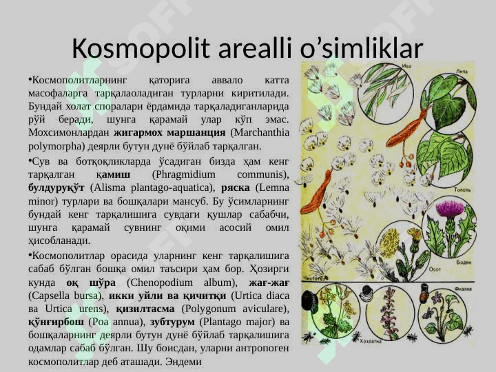 O’zbekiston florasi dorivor o’simliklari bioekologik xususiyatlari va tarqalish areali 7