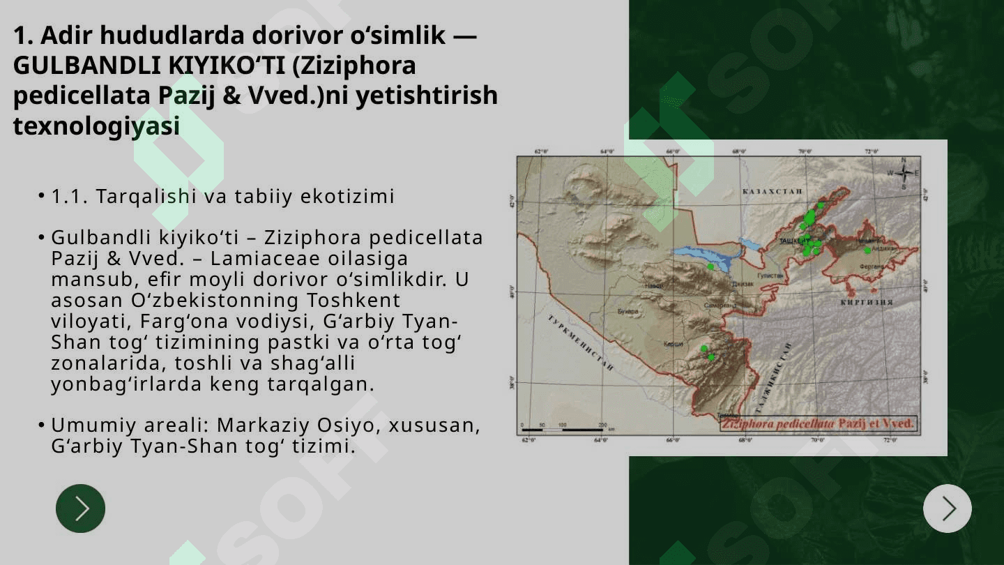 Adir va tog‘li hududlarda dorivor o‘simliklarni yetishtirish texnalogiyasi 3