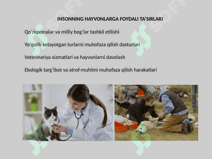 Hayvonot dunyosini inson hayotiga ta’siri 7